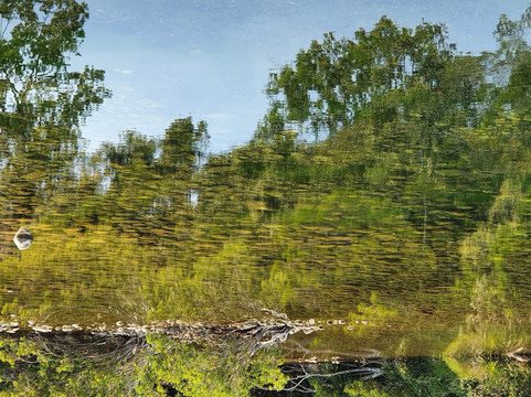 ig Crystal Creek (Paradise Waterhole)-Paluma必去景点