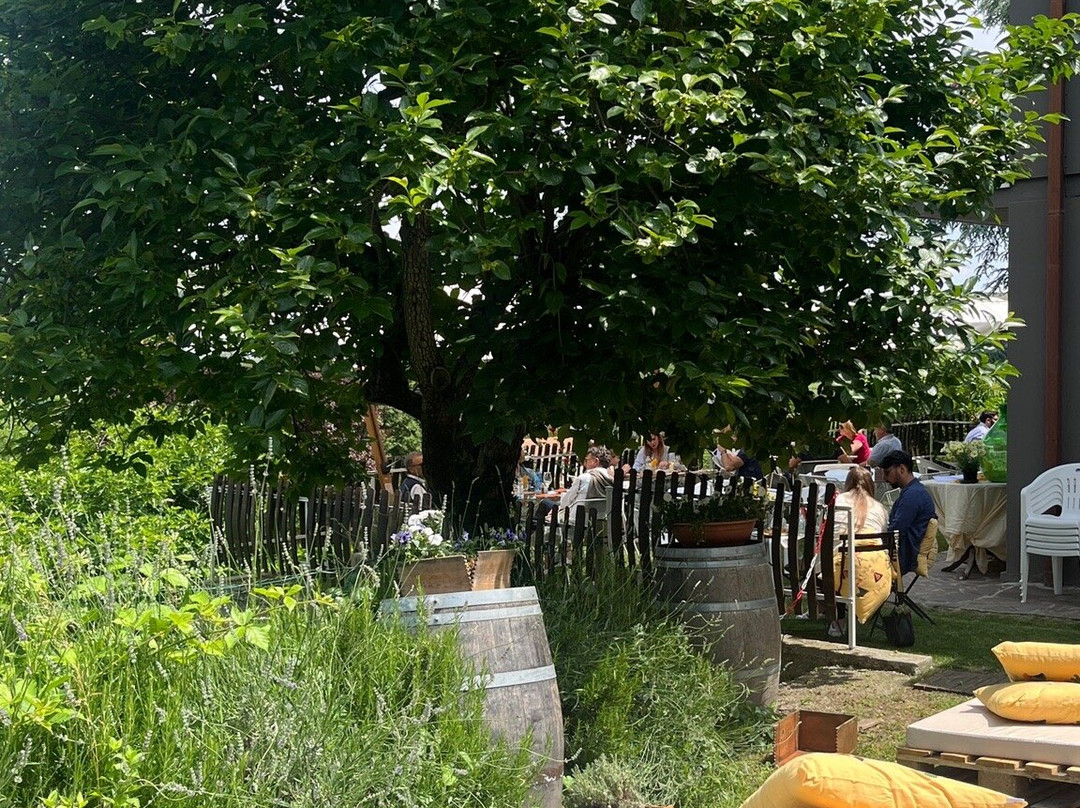 Cantina Maeli Colli Euganei-Baone必去景点