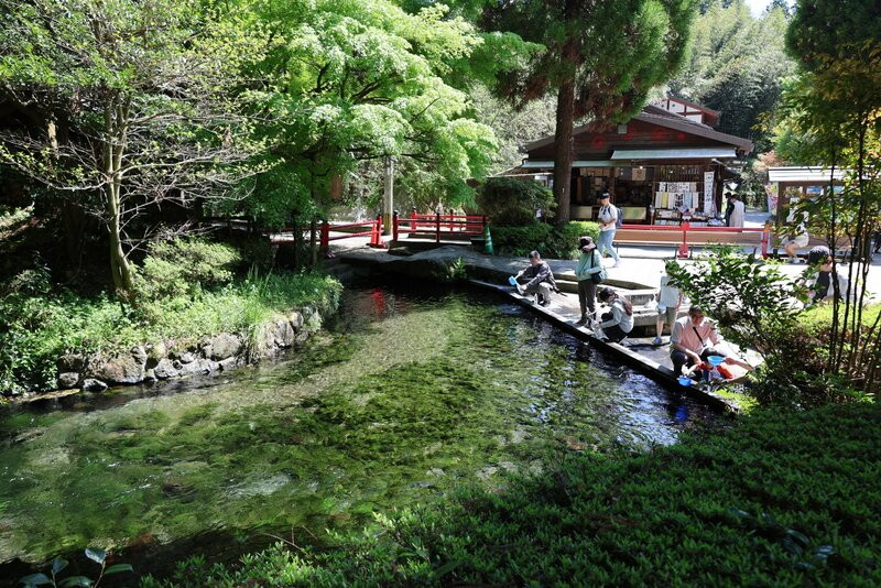 Shirakawa Springs景点图片
