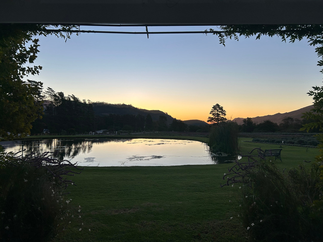 薰衣草农场旅馆主图