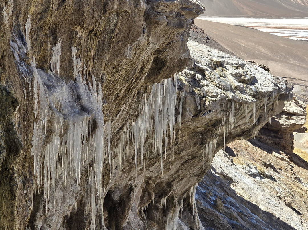 Salar De Antofalla景点图片