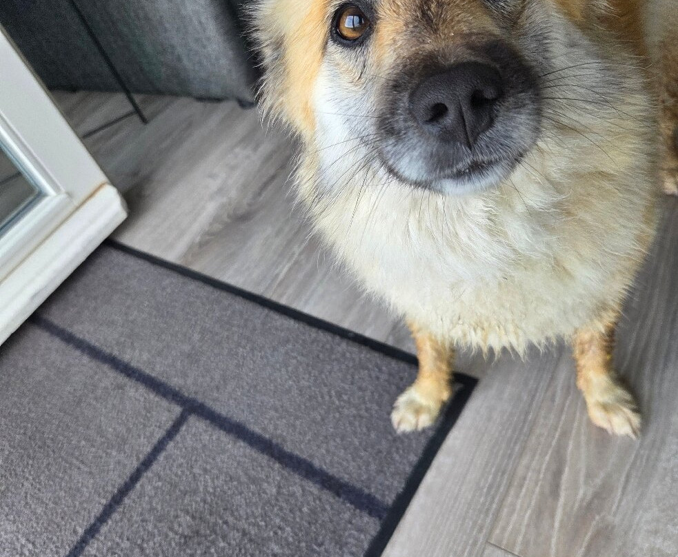 思佳拉菲尔宾馆主图