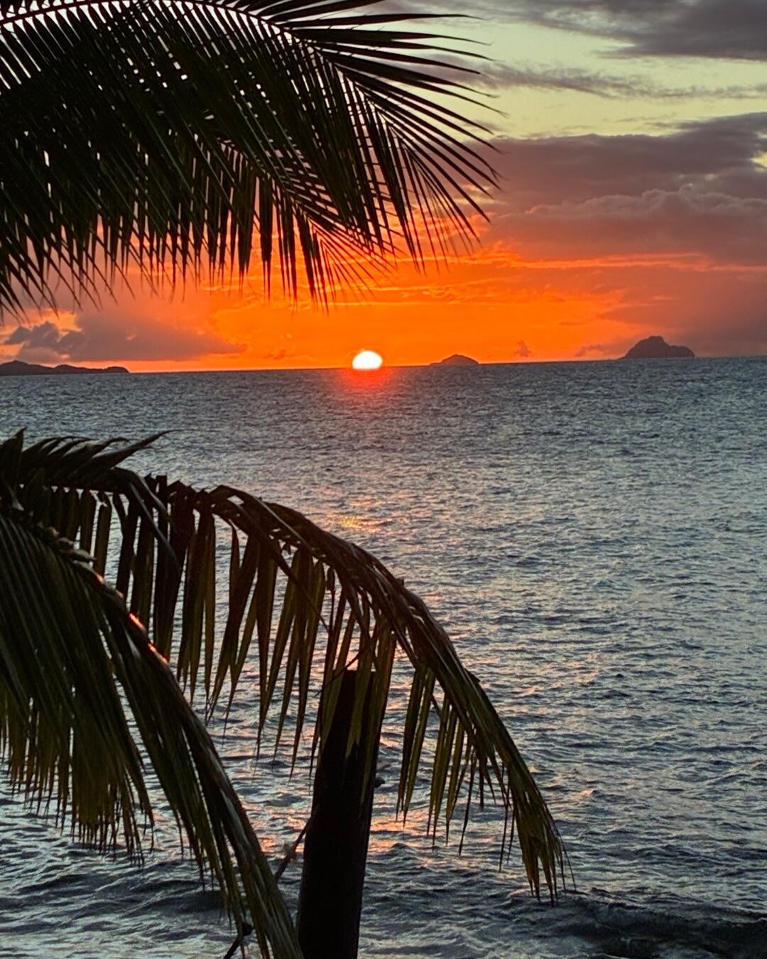 Navini Island Resort-官方
