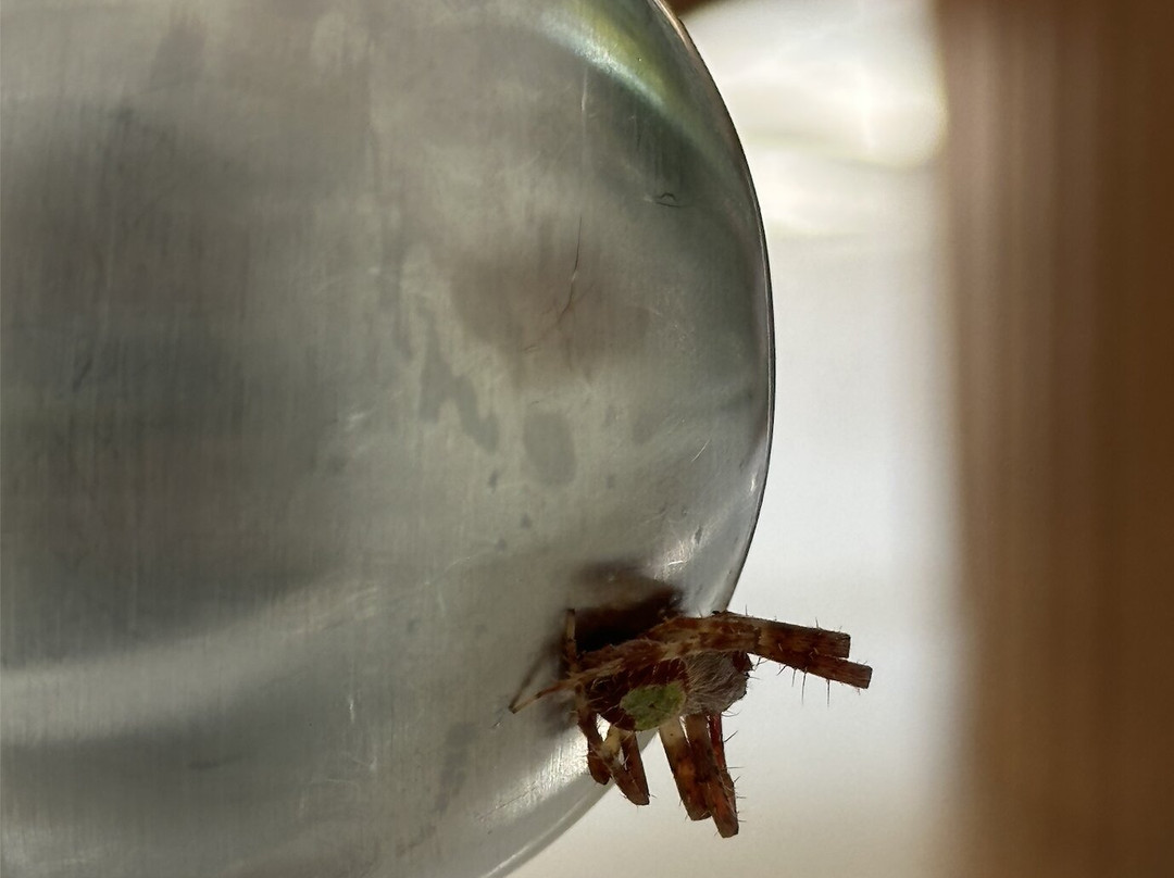 Cheval Blanc St-barth Isle De France主图