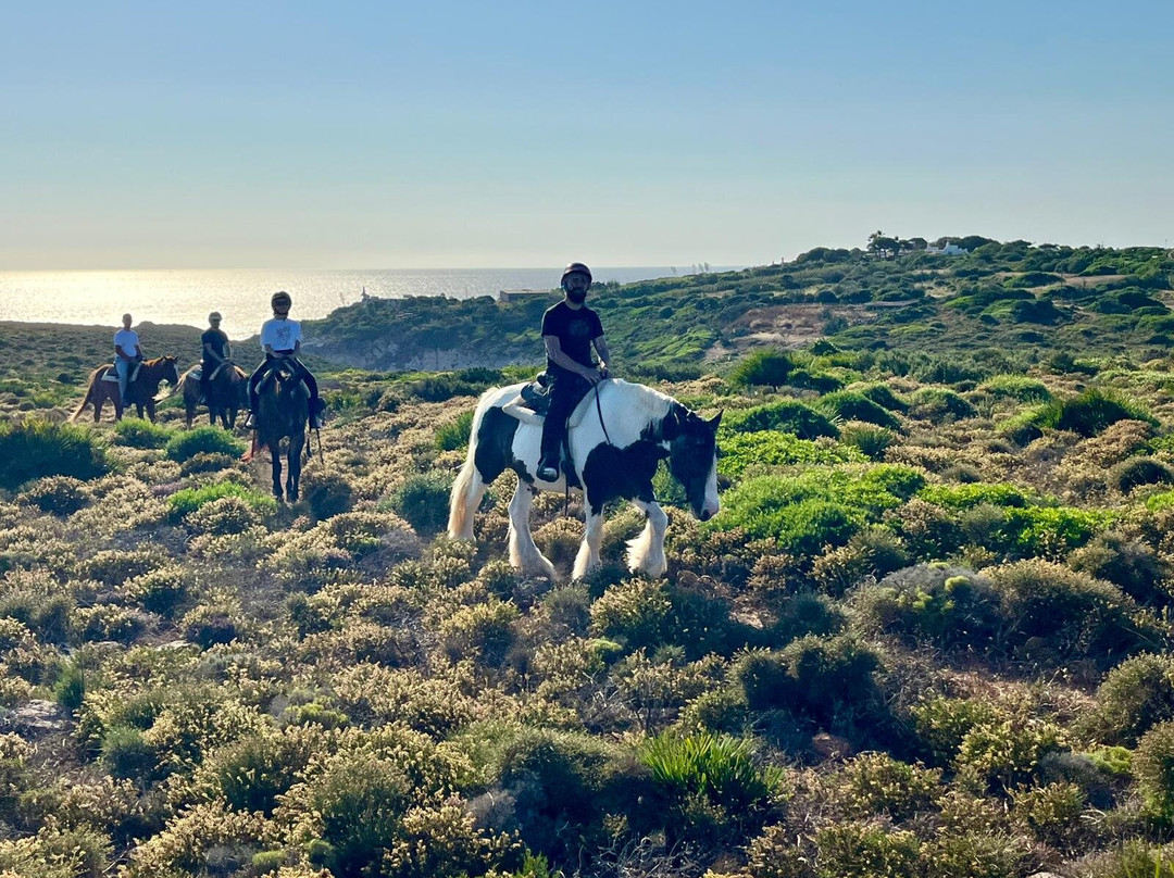 Carolina Ranch Escursioni e Tour-Sant'Antioco必去景点