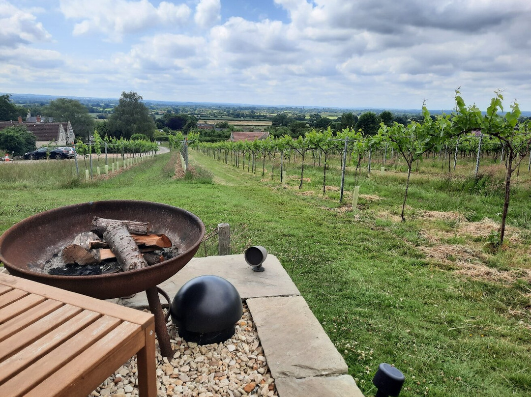 Wraxall Vineyard-Shepton Mallet必去景点
