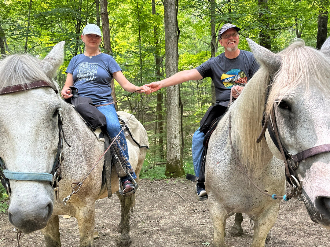 Whispering Woods Riding Stable景点图片