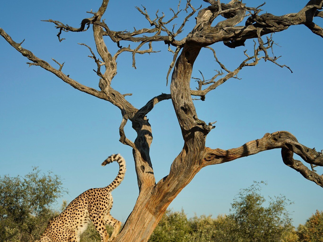 Naankuse Wildlife Sanctuary-温德和克必去景点