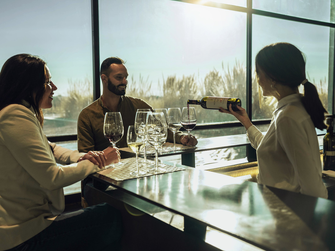 Passeios Vinícola Mendoza-门多萨必去景点