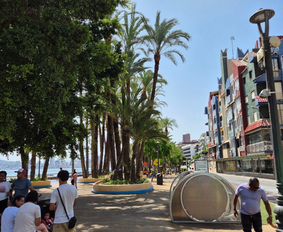 Parc d'Elx-贝尼多姆必去景点