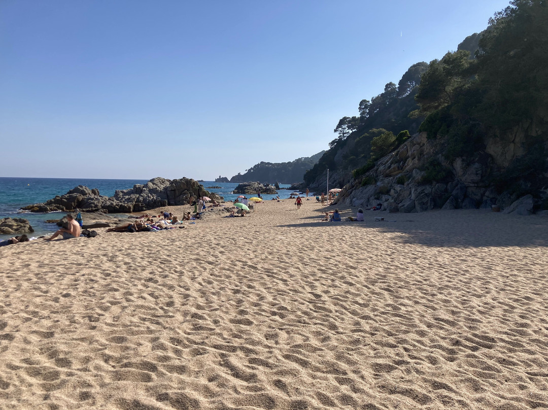 Playa Cala Sa Boadella-犹兰特德玛必去景点