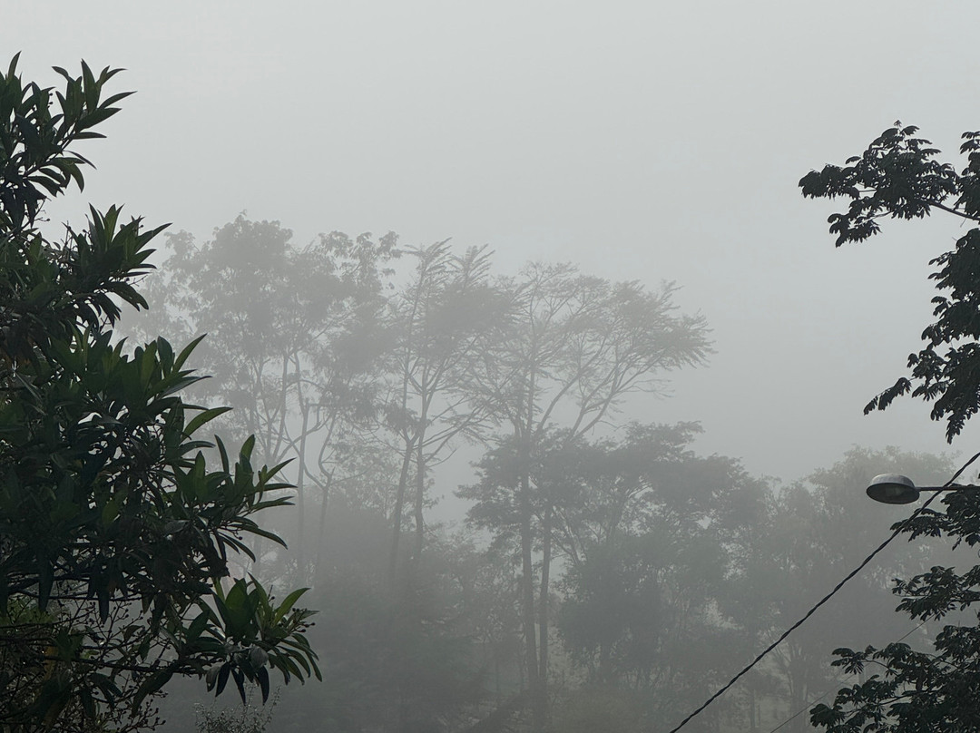 Contemplario-Cunha必去景点