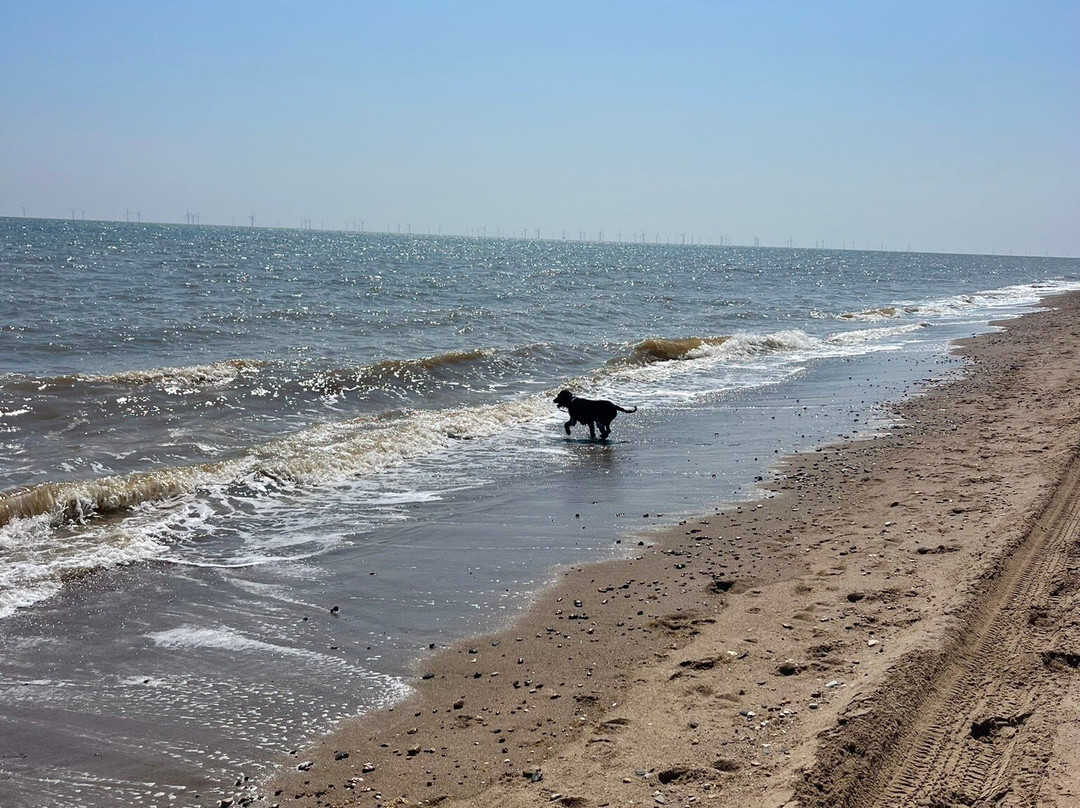 Moggs Eye Beach景点图片