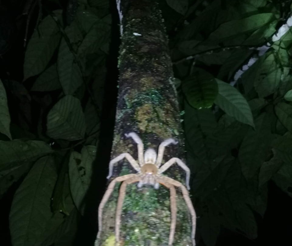 Nigth Tour Finca Don Juan-Agujitas de Drake必去景点