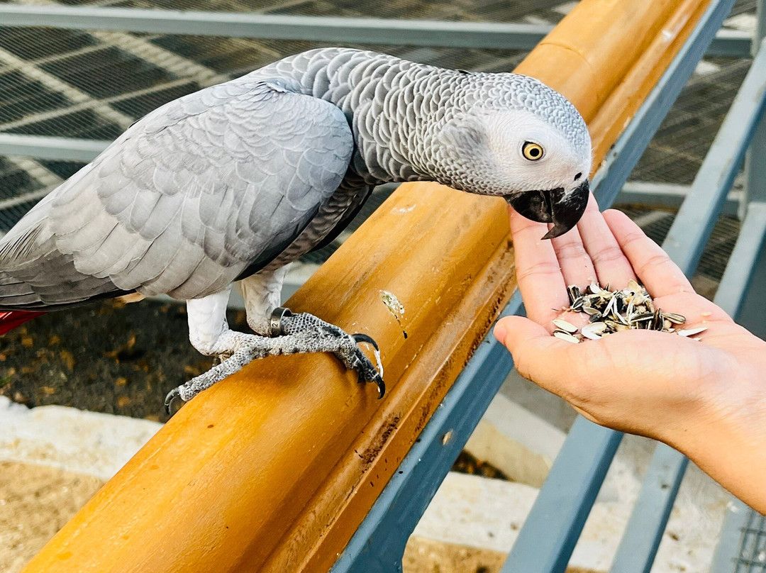 Trichy Birds Park-Tiruchirappalli District必去景点