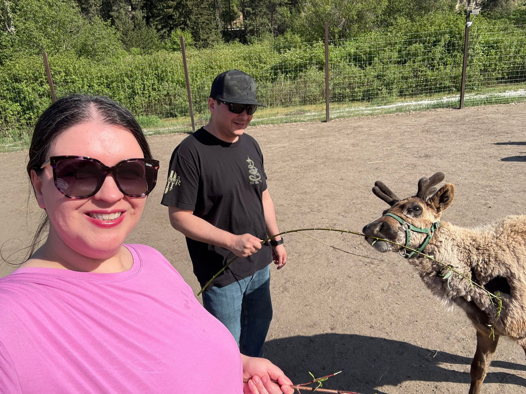 Leavenworth Reindeer Farm-莱文沃思必去景点