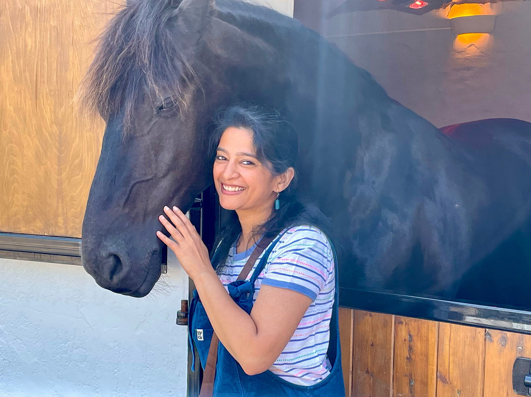 The Friesian Experience-Cartmel必去景点