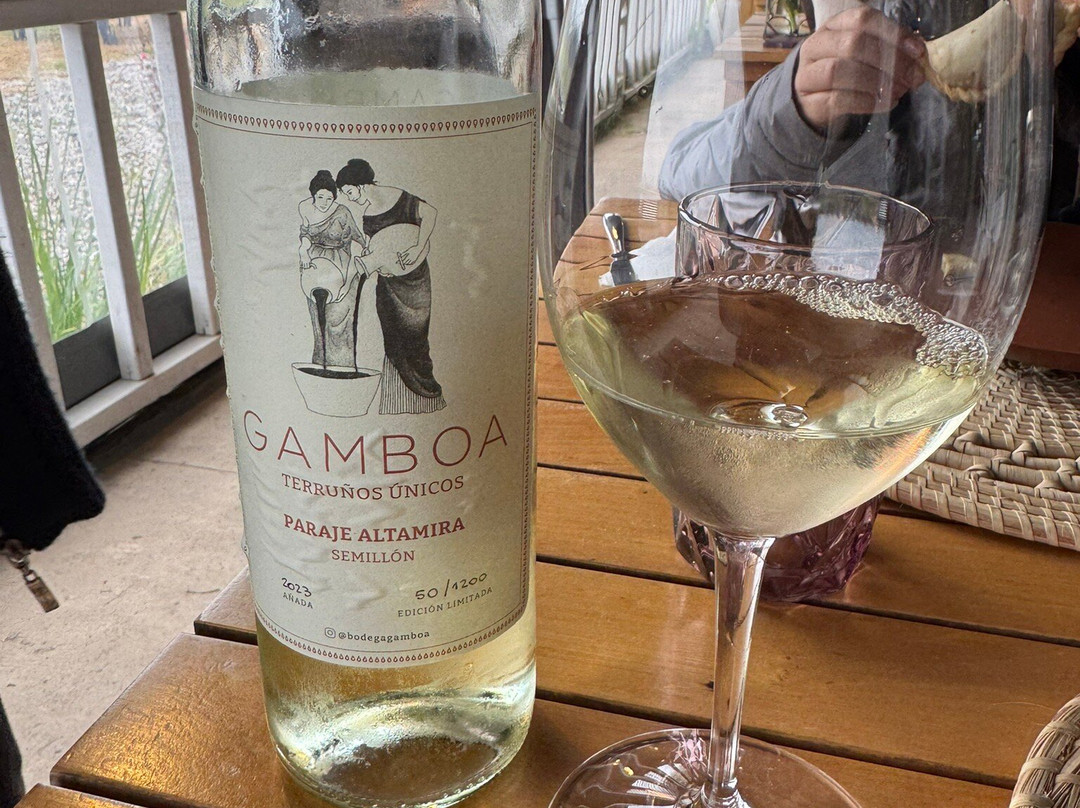 Gamboa - Viñas & Bodega-Campana必去景点