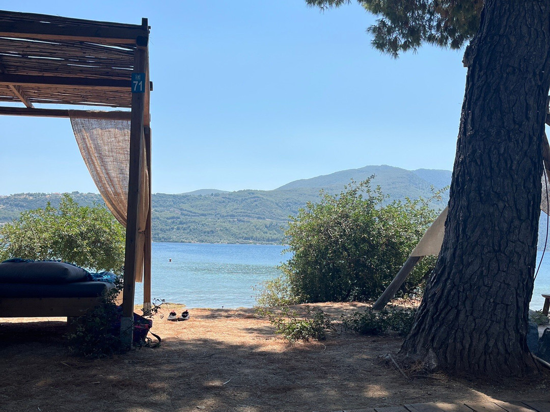 Naomi Beach Bar-Edipsos必去景点