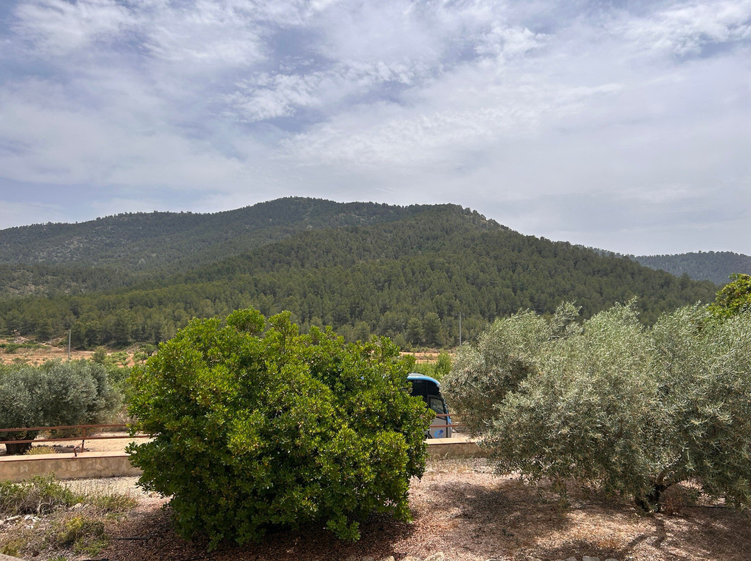 Guatazales experiencias-Bullas必去景点