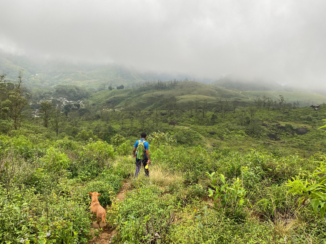 Kandy Trekking Tours-康提必去景点