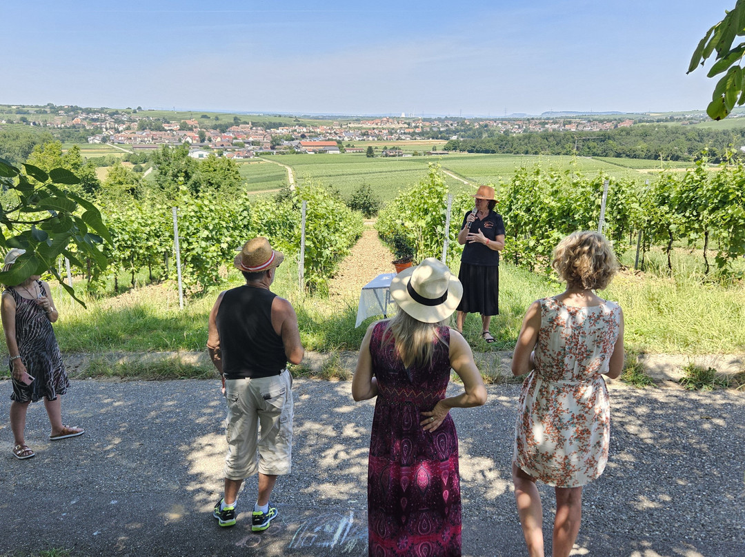Katzenbeisser Carrus-Lauffen am Neckar必去景点