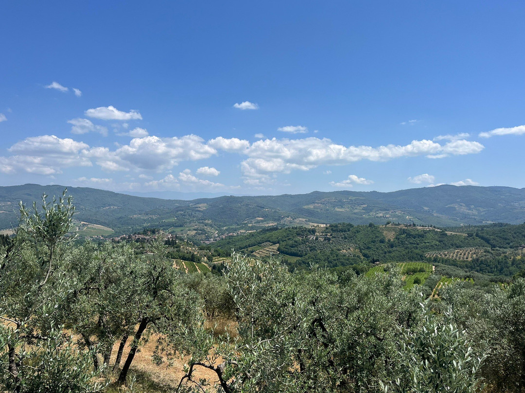 Azienda Agricola Altiero (Winery)-格雷韦伊恩基亚恩蒂必去景点