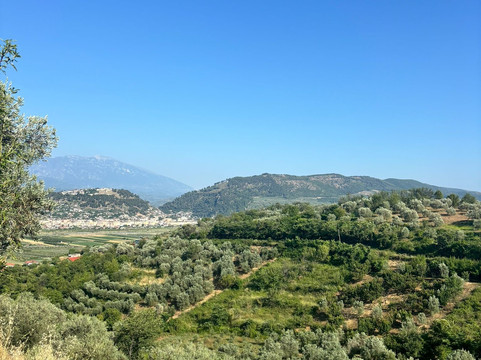 Olive Oil & Vineyard Tour Berat-培拉特必去景点