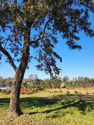 The Old Mushroom Farm-豪威克必去景点