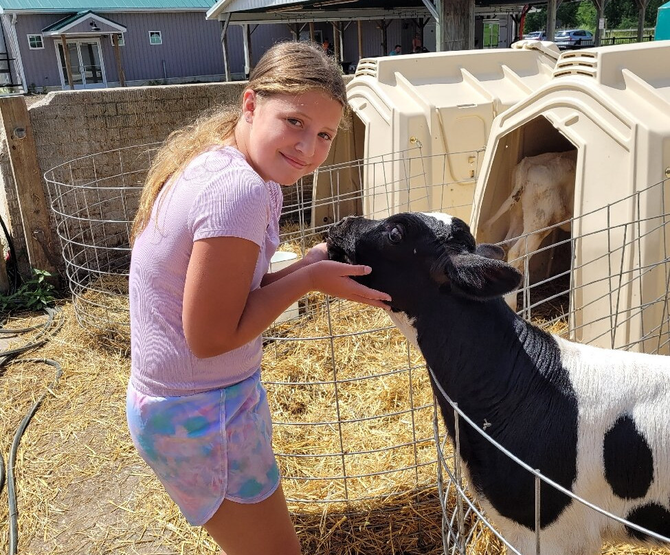 Cook's Farm Dairy-Ortonville必去景点