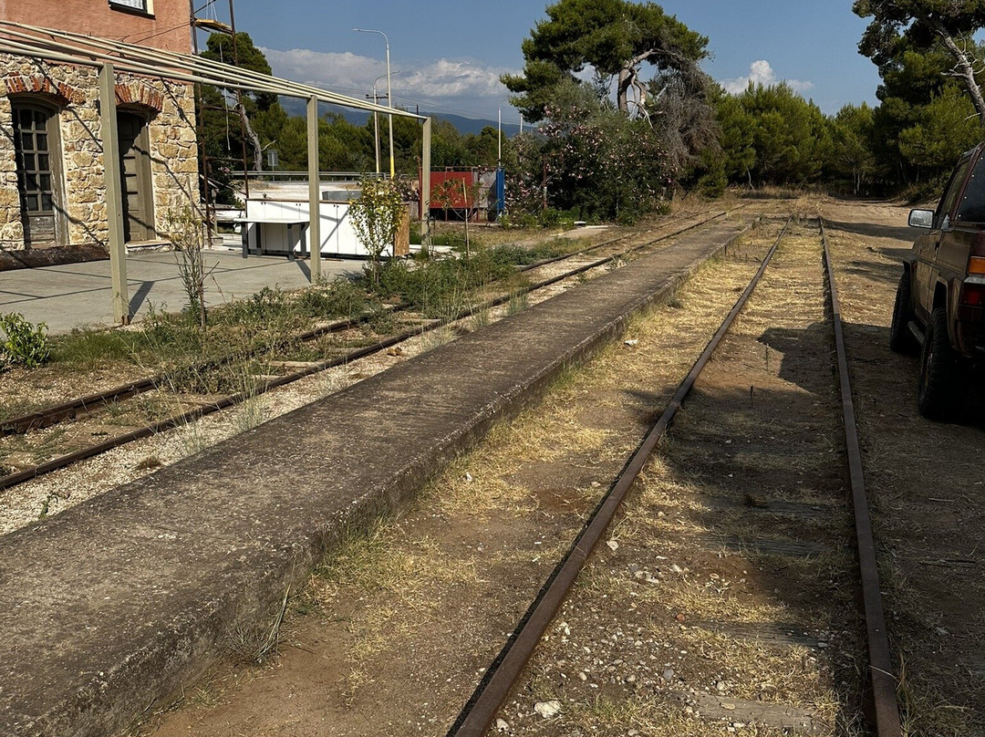 Naked Beach Kaiafas-Zacharo必去景点