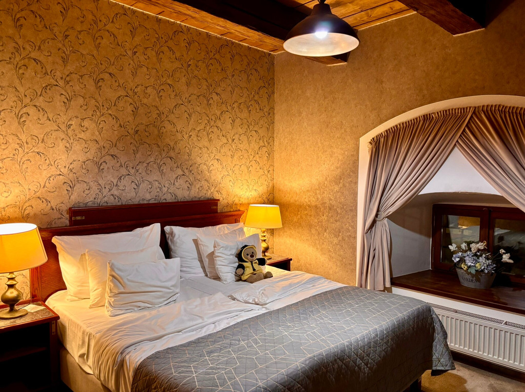 Pytloun Chateau Hotel Ctenice主图