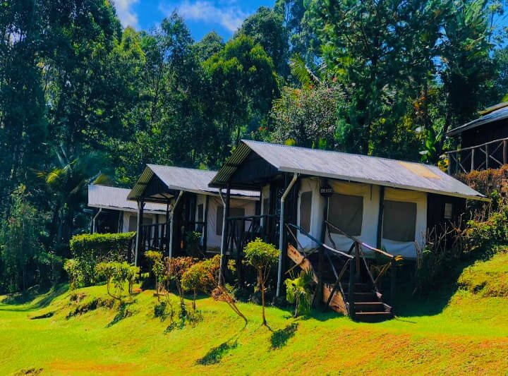 Aberdare Cottages Dream