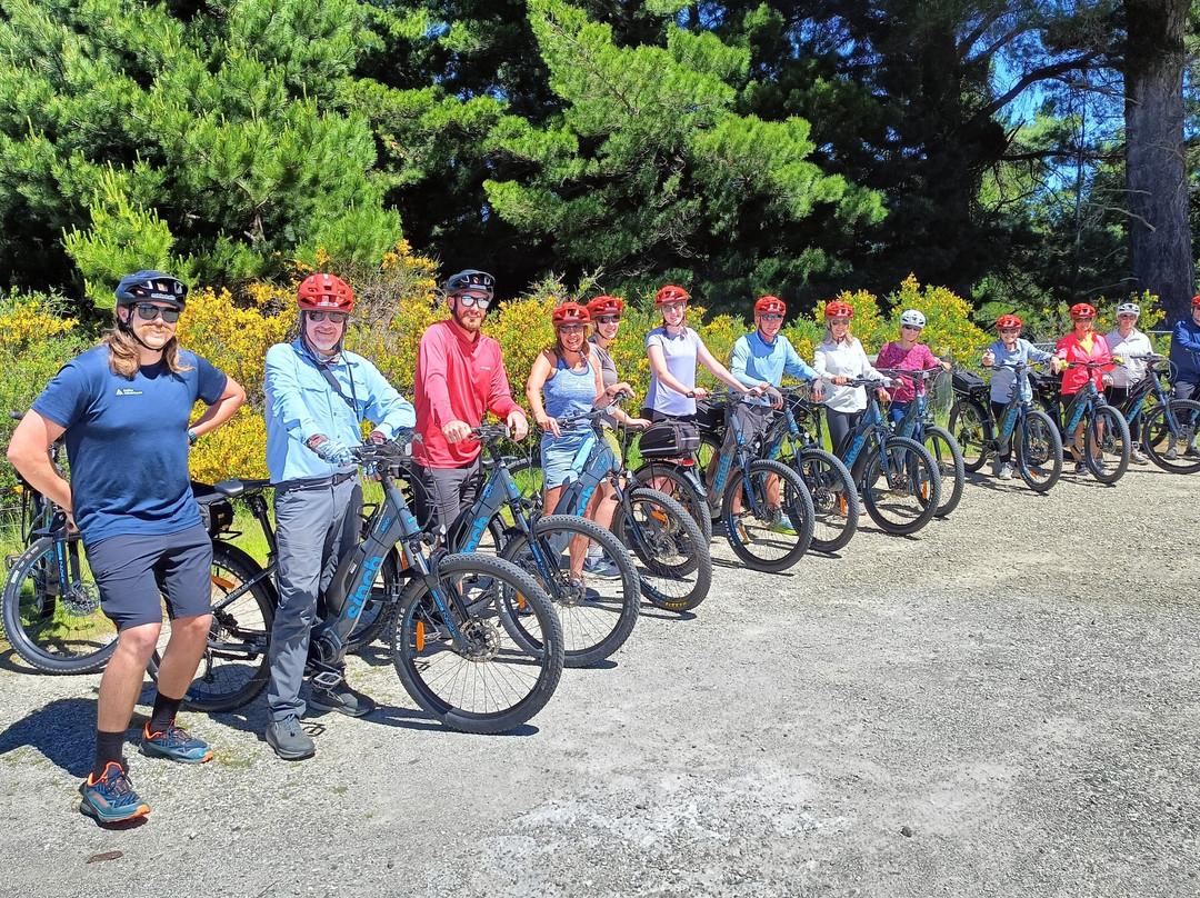 nzbiketrails Queenstown