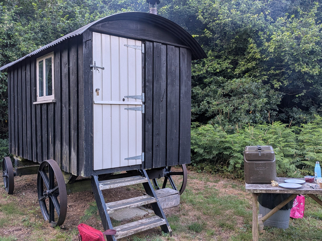 Glamping At Wallops Wood主图