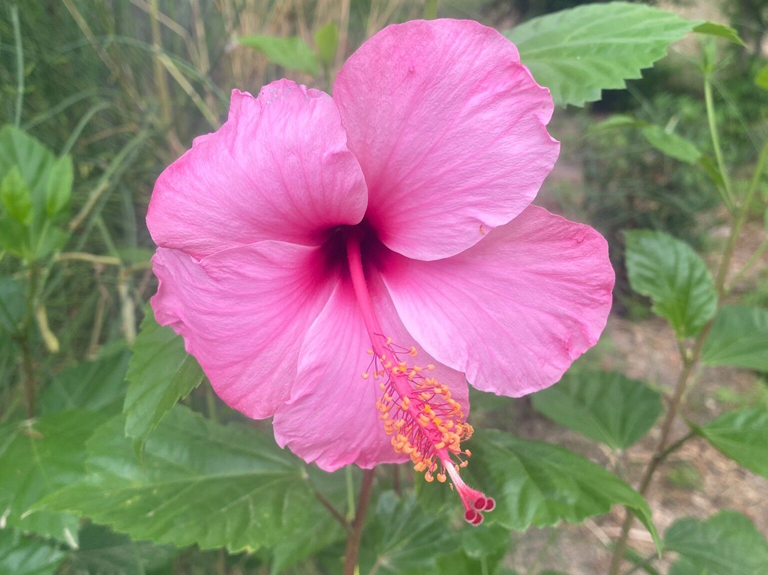 Aqua Natura-贝尼多姆必去景点