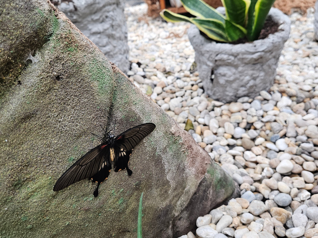 汉姆利玩具店-布拉格必去景点