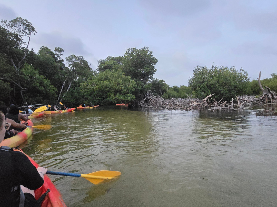 Puerto Rico Eco Tour-法哈多必去景点