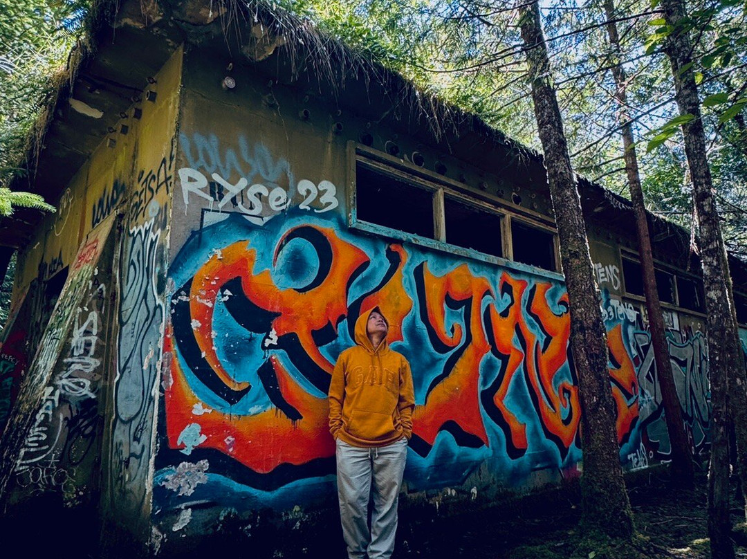 Canso Plane Crash Hike-托菲诺必去景点