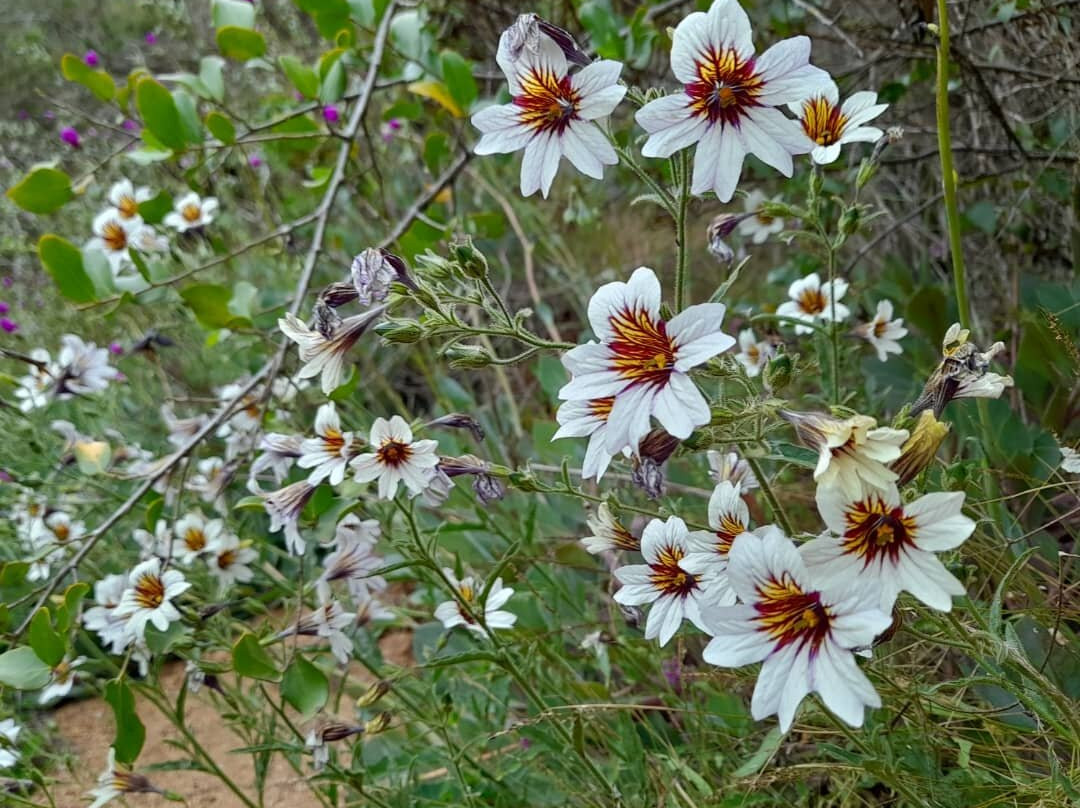 Quebrada de Cordoba-El Tabo必去景点