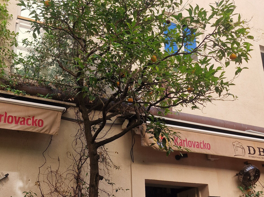 Dubrovnik Beer Company-杜布罗夫尼克必去景点