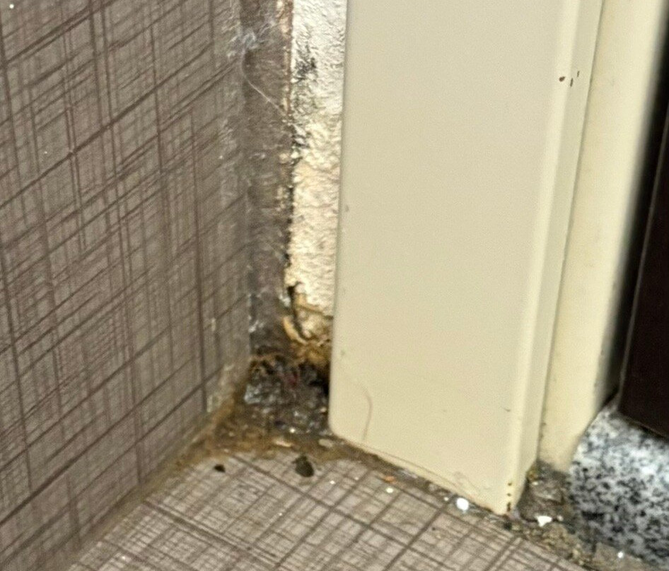 Sleep Inn & Suites Bismarck I-94主图