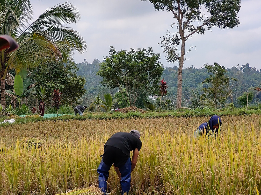 Lombok Picnic-Batu Layar必去景点
