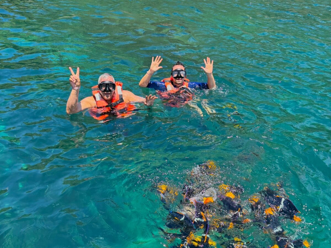 Golondrina 2 Tours-Boca de Tomatlan必去景点