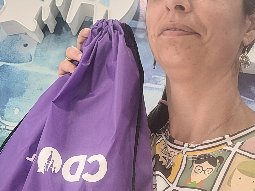 CDO Travel-奥兰多必去景点