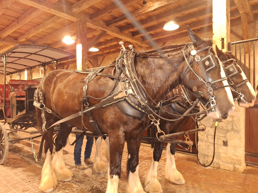 Hermann Farm-赫曼必去景点