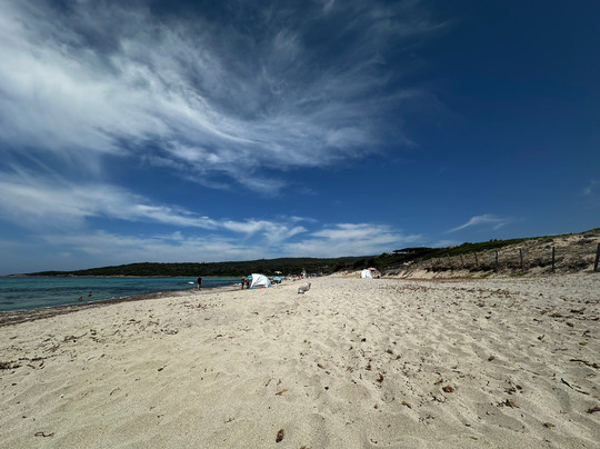 Plage de Capo di Feno-阿雅克肖必去景点
