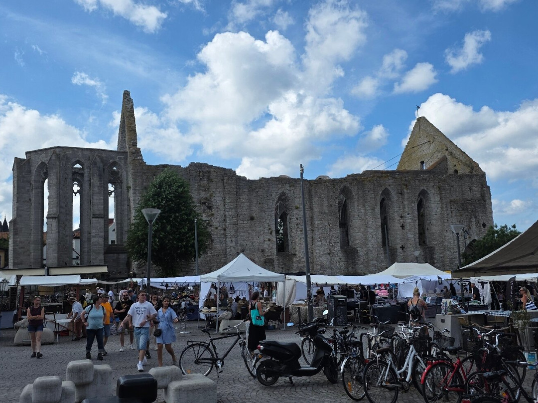 St. Karin Cathedral Ruins-维斯比必去景点