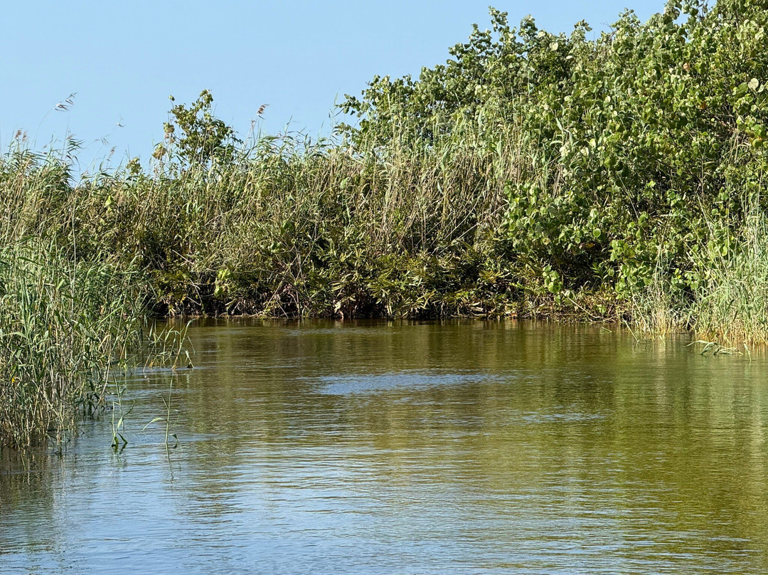 Kosi Bay Nature Reserve-Kosi Bay必去景点