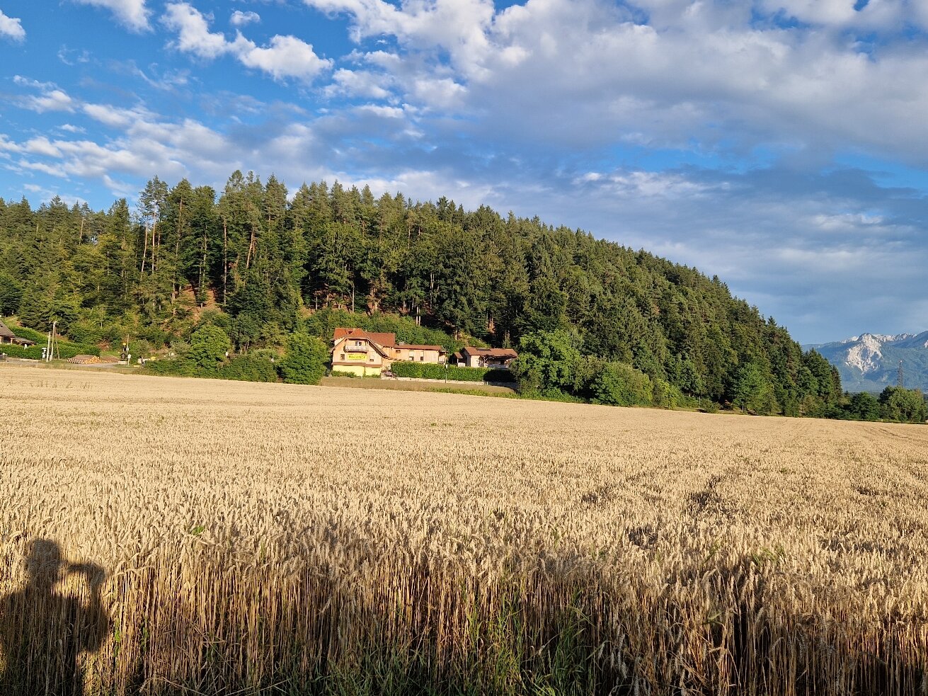 Hotel Restaurant Waldhof-官方